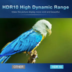 Smart TV Box Bluetooth 5.4 8K Q1 Android 14 Set Top Box Allwinner H313 Dual Wifi 5G 8GB128GB Google Voice Streaming Media Player