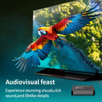 Global Version Mortal Smart Streaming Media TV Box Android13 AllwinnerH313 Bluetooth Google Assistant 2.4G e 5G Wifi 4KHD Q1